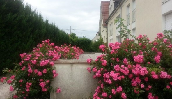 Logement tudiant Studio à Dijon (21000)