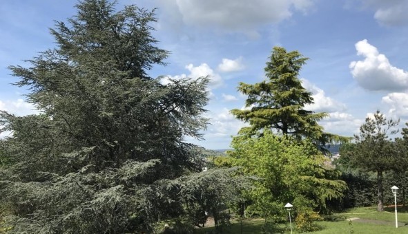 Logement tudiant Studio à Montluon (03100)