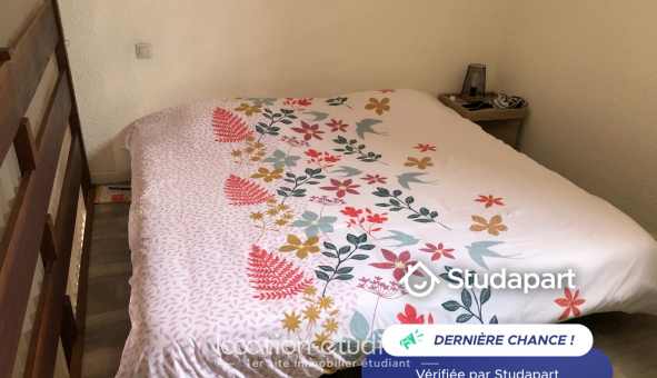 Logement tudiant T2 à Saint Cyprien (66750)