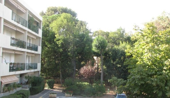 Logement tudiant T3 à Toulon (83200)