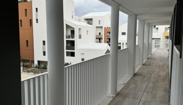 Logement tudiant Colocation à Montpellier (34080)