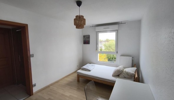 Logement tudiant Colocation à Mulhouse (68100)