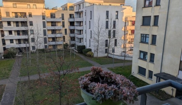 Logement tudiant Colocation à Ramonville Saint Agne (31520)