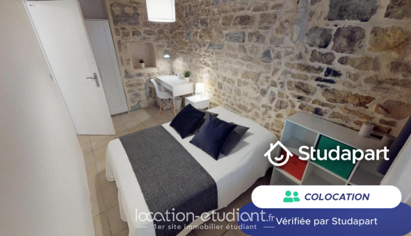 Colocation tudiante Duplex à Lyon 2me arrondissement (69002)