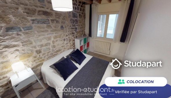 Colocation tudiante Duplex à Lyon 2me arrondissement (69002)