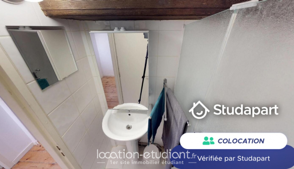 Colocation tudiante Duplex à Lyon 2me arrondissement (69002)