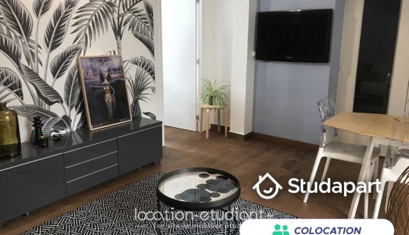 Colocation tudiante Studio à Angers (49000)