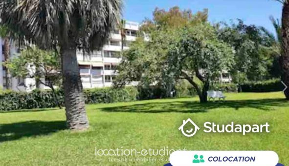 Colocation tudiante Studio à Antibes (06160)