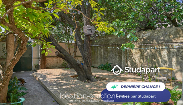 Colocation tudiante Studio à Avignon (84000)