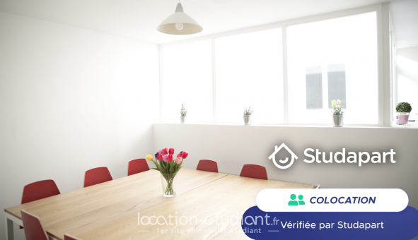 Colocation tudiante Studio à Lille (59800)