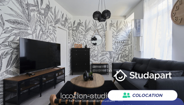 Colocation tudiante Studio à Lille (59800)