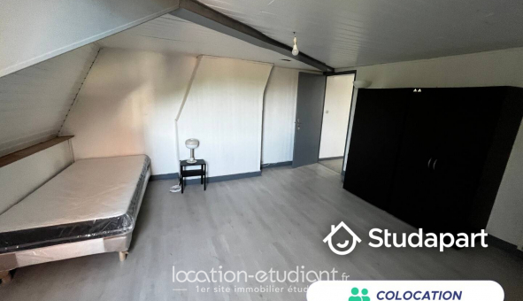 Colocation tudiante Studio à Lille (59800)