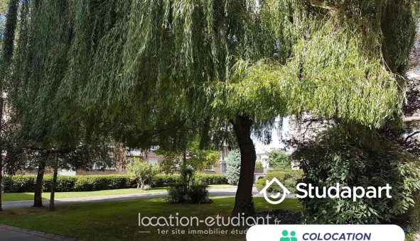 Colocation tudiante Studio à Lille (59800)