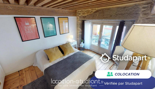 Colocation tudiante Duplex à Lyon 2me arrondissement (69002)