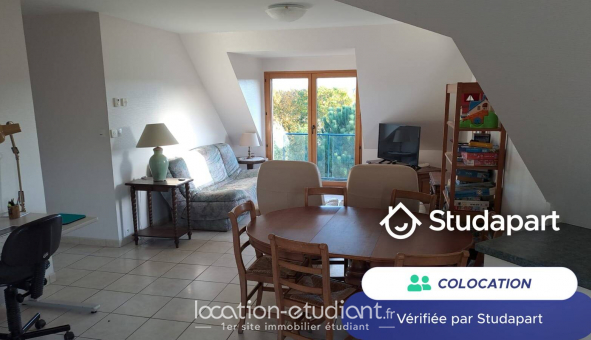 Colocation tudiante Studio à Quimper (29000)