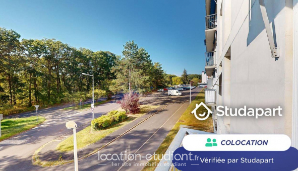 Colocation tudiante Studio à Tours (37000)